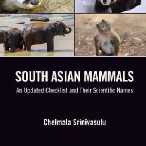 South Asian Mammals Clearance 2025 New
