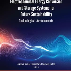 Electrochemical Energy Conversion and Storage Systems for Future Sustainability Cheap Pice Wholesale