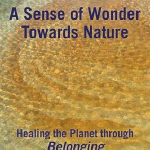 Sense of Wonder Towards Nature Cheap Best