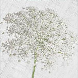 Sustainability and Design Ethics, Second Edition Clearance From China