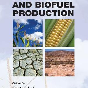 Soil Quality and Biofuel Production 100% Authentic Cheap Online