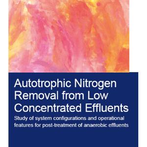 Autotrophic Nitrogen Removal from Low Concentrated Effluents Discount Exclusive