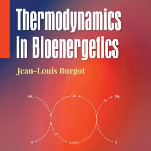 Thermodynamics in Bioenergetics - Paperback / softback Popular Cheap Online