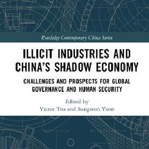Illicit Industries and Chinas Shadow Economy - Hardback Hot Sale Cheap Pice