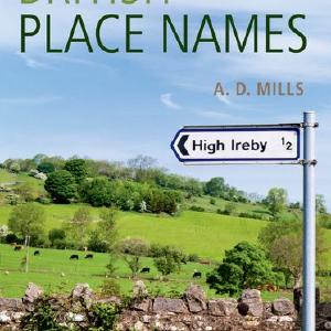 A Dictionary of British Place-Names Cheap Professional