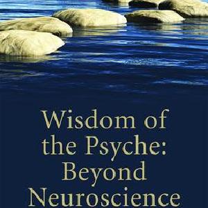 Wisdom of the Psyche - Paperback / softback Stockist Online