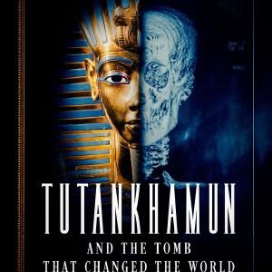 Tutankhamun and the Tomb that Changed the World Online Cheap Online