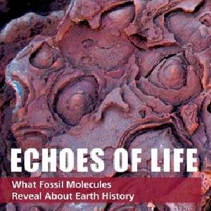 Echoes of Life Free Shipping 2025 New