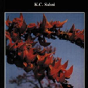 The Book of Indian Trees Clearance Pre Order