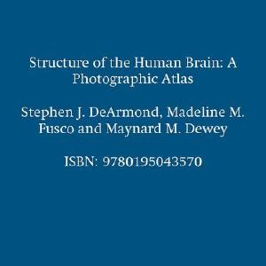 Structure of the Human Brain Sale Visit