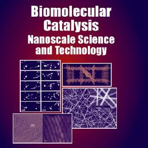 Biomolecular Catalysis Sale Best Wholesale