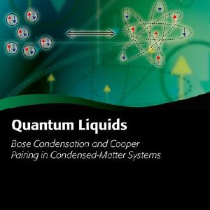 Quantum Liquids Cheap Visit