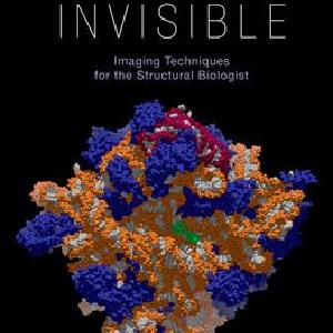 Visualizing the Invisible Huge Surprise Cheap Online