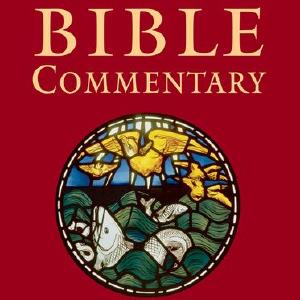 The Oxford Bible Commentary Outlet Where Can You Find