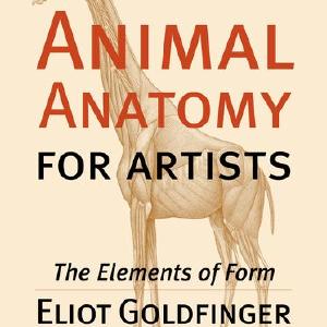Animal Anatomy for Artists With Paypal Free Shipping