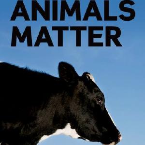 Why Animals Matter Free Shipping Purchase