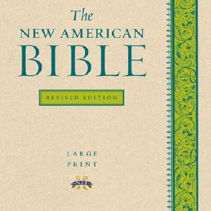 The New American Bible, Large Print Discount Best