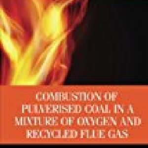 Combustion of Pulverised Coal in a Mixture of Oxygen and Recycled Flue Gas Buy Cheap Outlet