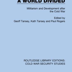 World Divided Best Wholesale For Sale