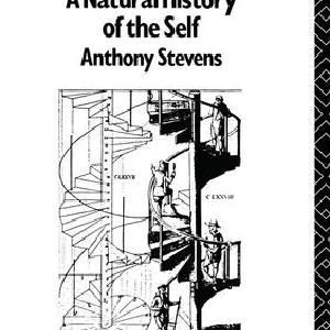 Archetype Sale With Paypal