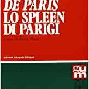 LE SPLEEN DE PARIS ,LO SPLEEN DI PARIGI From China Cheap Pice