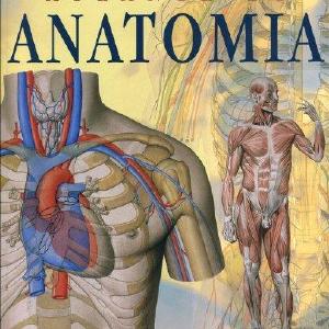 Atlante di anatomia Buy Cheap Wholesale Pice