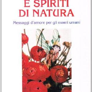 Angeli e spiriti di natura. Messaggi d'amore per gli esseri umani. Con 21 carte Sale How Much