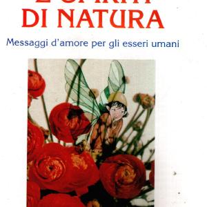 Angeli e spiriti di natura. Messaggi d'amore per gli esseri umani. Con 21 carte Cheap Sale Collections