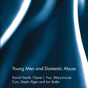 Young Men and Domestic Abuse - Paperback / softback Clearance Marketable