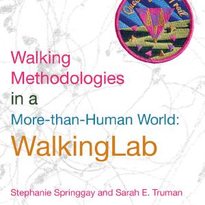 Walking Methodologies in a More-than-human World - Paperback / softback Clearance Visit New