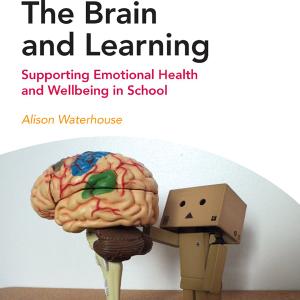 Brain and Learning - Paperback / softback Discount Free Shipping