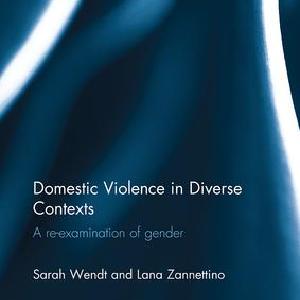 Domestic Violence in Diverse Contexts - Paperback / softback From China Sale Online