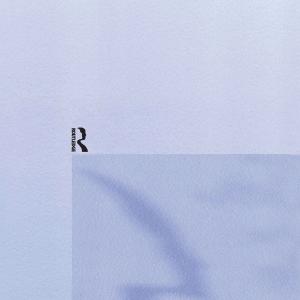 Economics of Professional Team Sports Under 70 Dollars