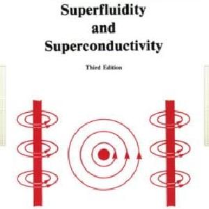 Superfluidity and Superconductivity - Paperback / softback New Online
