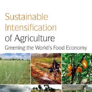 Sustainable Intensification of Agriculture - Paperback / softback Clearance Wide Range Of