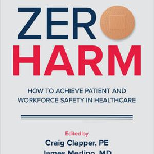 Zero Harm: How to Achieve Patient and Workforce Safety in Healthcare Sale Visa Payment