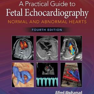 A Practical Guide to Fetal Echocardiography Big Discount For Sale