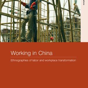 Working in China - Paperback / softback Discount High Quality