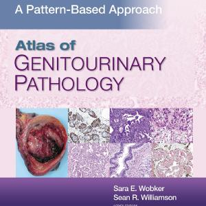 Atlas of Genitourinary Pathology Clearance Amazon