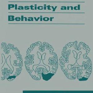 Brain Plasticity and Behavior - Paperback / softback Wiki Cheap Pice