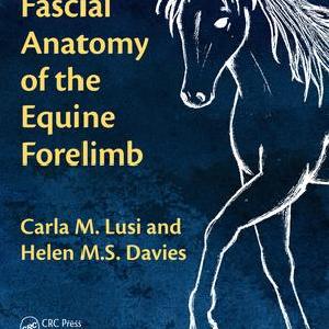 Fascial Anatomy of the Equine Forelimb Outlet Factory Outlet