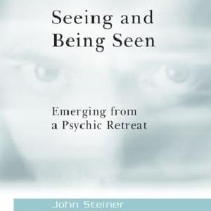 Seeing and Being Seen Buy Cheap Best Store To Get