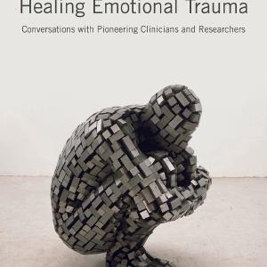 Understanding and Healing Emotional Trauma Free Shipping For Sale