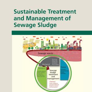 Sustainable Treatment and Management of Sewage Sludge Cheap Original