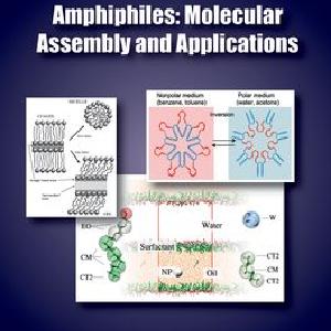 Amphiphiles Visit