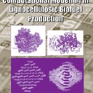 Computational Modeling in Lignocellulosic Biofuel Production Cheap Sale Shop For