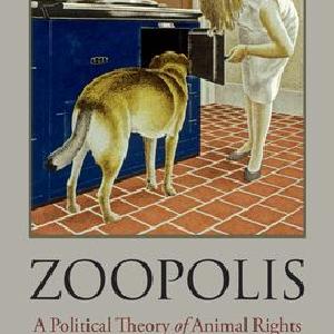 Zoopolis Cheap Sale Eastbay