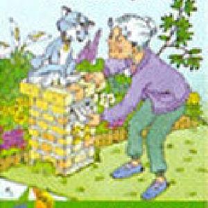 The Old Cat Clearance Best