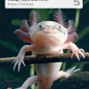 Adapt and Survive! Cheap Good Selling