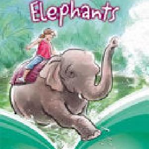 Swimming with Elephants Outlet Manchester Great Sale